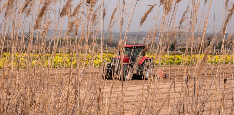 Agricoltura