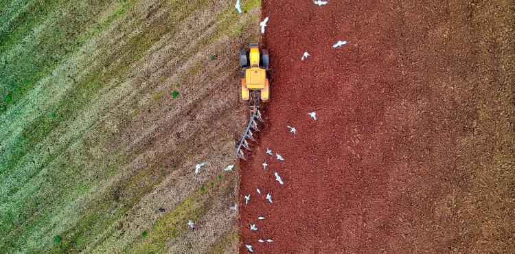 Agricoltura