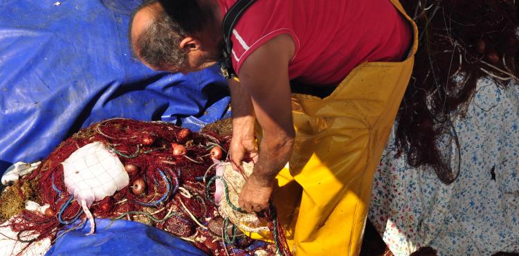 un pescatore di Alghero un pescatore di Alghero