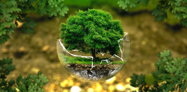 ambiente, immagine simbolica ambiente, immagine simbolica
