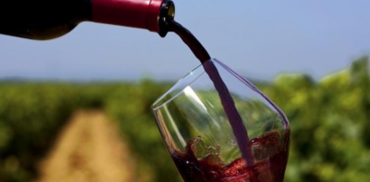 vino e vigna, immagine simbolica