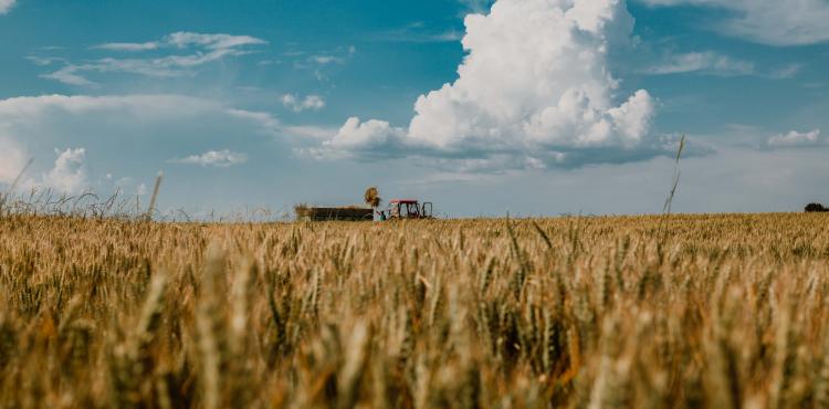 Agricoltura - Foto di Drazen Nesic da Pixnio