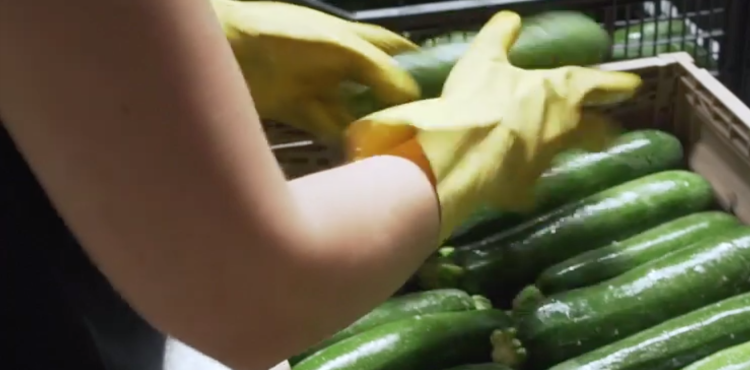 imprese agricole imprese agricole
