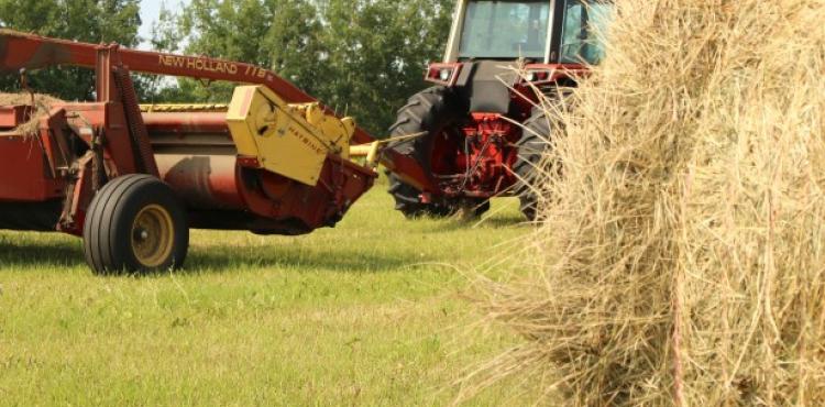 alcune macchine agricole in azione