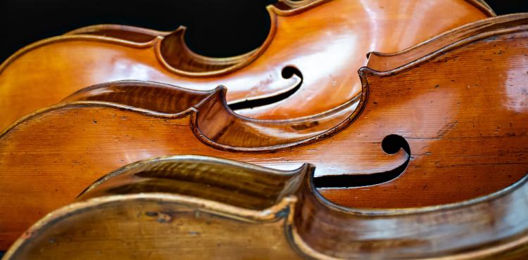 Violoncello