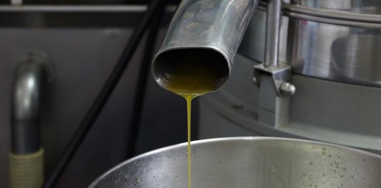 Olio d'oliva 