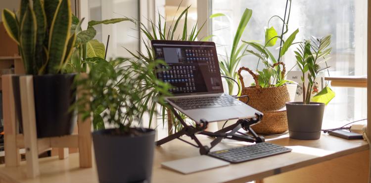 Working place