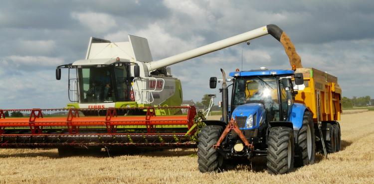 Lavoro agricolo