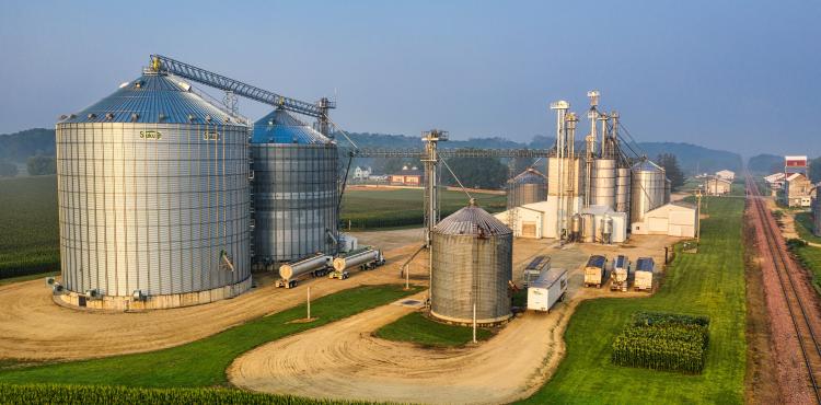 Impresa agricola
