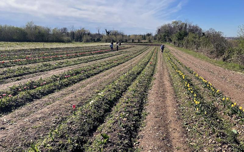 l’agroalimentare traina l’economia italiana