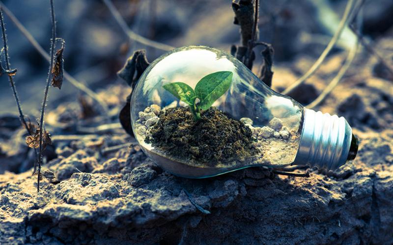 Profili professionali con competenze “green”