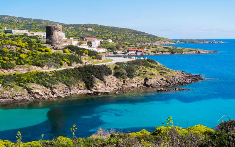 Isola Asinara