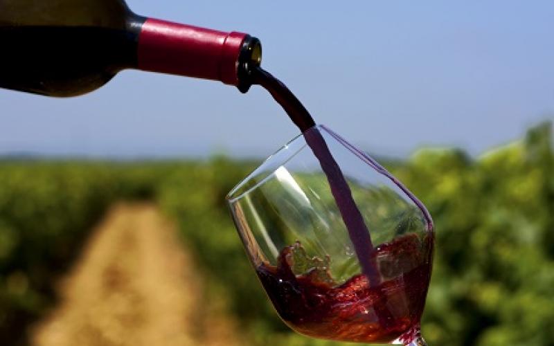 vino e vigna, immagine simbolica