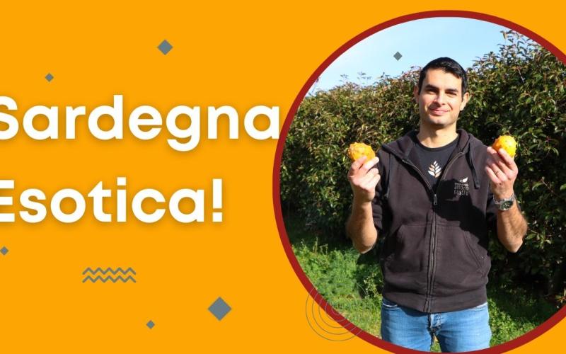 Embedded thumbnail for AZIENDA AGRICOLA “A MODO NOSTRO”: la Sardegna esotica