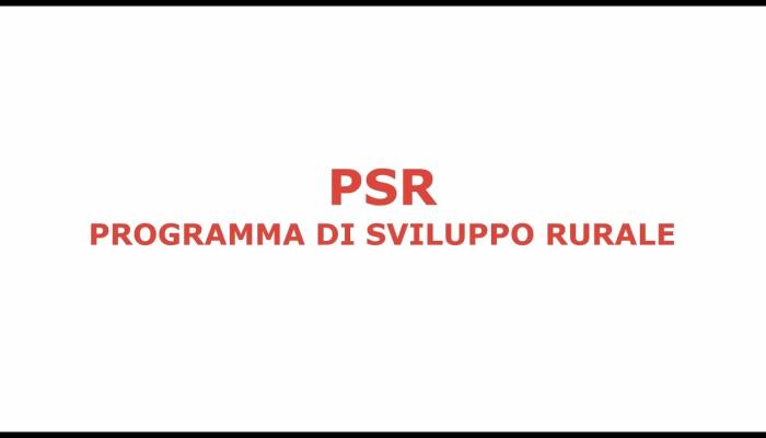 Embedded thumbnail for Le opportunità offerte dal PSR per favorire gli investimenti delle imprese agricole sarde - prima parte