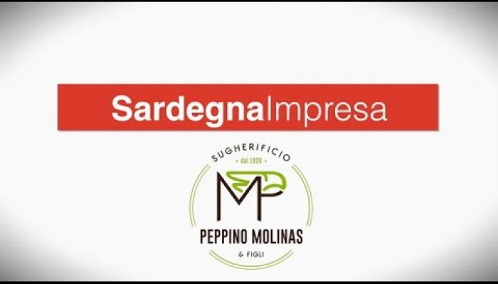 Embedded thumbnail for Sugherificio Molinas, storia di un’impresa che dura da cent&#039;anni e rappresenta la Sardegna nel mondo