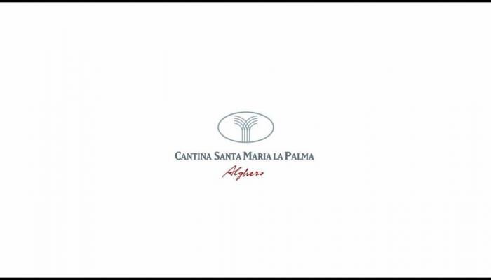 Embedded thumbnail for Cantine Santa Maria La Palma, da 63 anni tradizione e innovazione per vini che conquistano il mondo